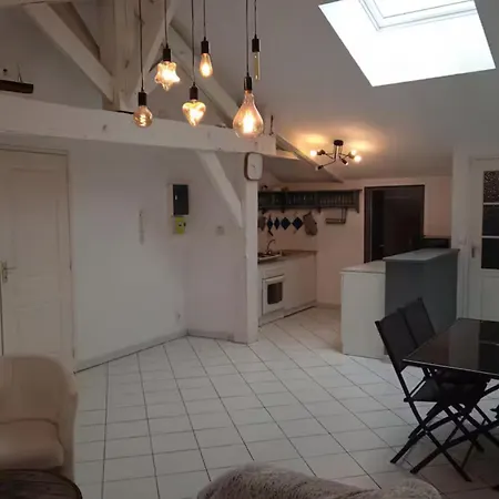T3 Hypercentre Apartment Agen